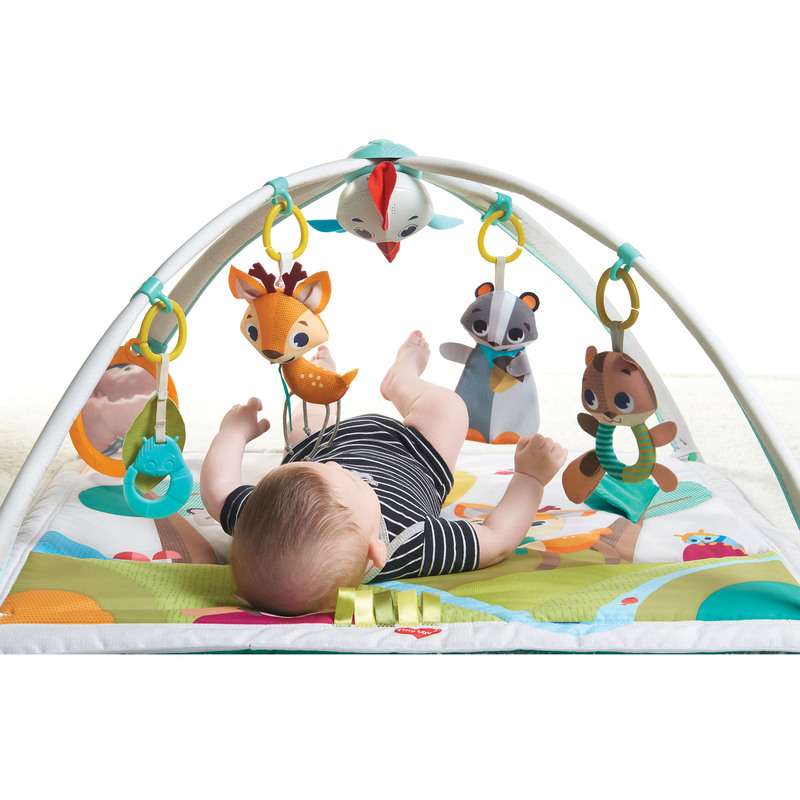Into The Forest Gymini Deluxe Tiny Love BabyValue
